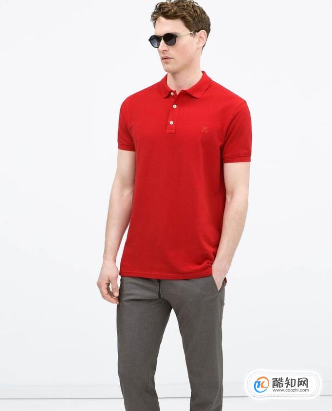 ���ѡ��polo��?polo��ʲô���Ӻ�?����